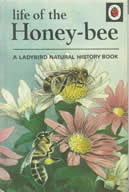 The Ladybird book Life of the hone-bee.   Great digestible information.  Currently out of print but available second hand on Amazon and book shops
