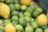 Lemons and Limes BoNImage2013